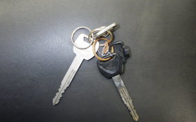 HONDA PS250 2025 MF09