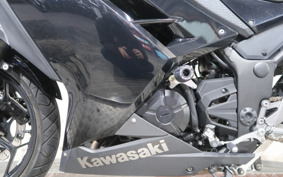 KAWASAKI NINJA 250 EX250L