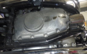 KAWASAKI W800 2024 EJ800E