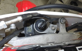HONDA CRF250X