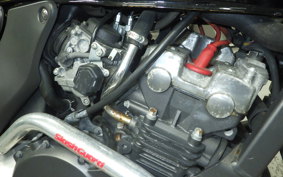 HONDA HORNET 250 MC31