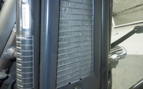 HARLEY FXFBS1870 2019