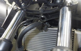 HONDA CB250FA 2020 MC43
