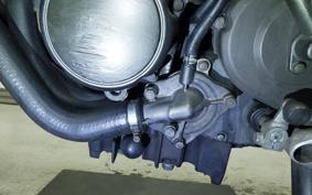 HONDA HORNET 250 MC31