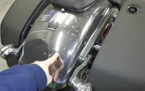 HARLEY FLSTFI1920 2025