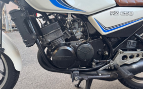 YAMAHA RZ 250 4L3