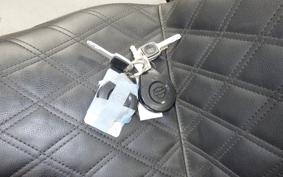 HARLEY FLSB 1750 2019