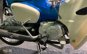 HONDA SUPER CUB50 AA09