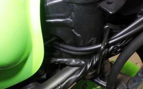 KAWASAKI NINJA 250 2026 EX250L