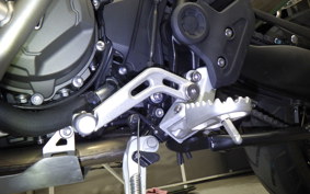 TRIUMPH TIGER900 RALLYARACO 2024