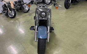 HARLEY  HARLEY FLFBS 2025 YGK
