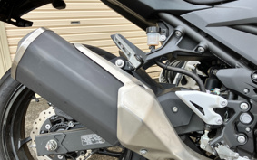 KAWASAKI Z250 ABS EX250P
