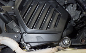 HONDA TACT Basket 2018 AF75