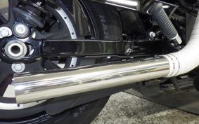 HARLEY XL1200NS 2019