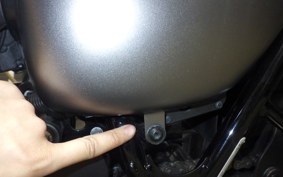 KAWASAKI W800 STREET 2019 EJ800B
