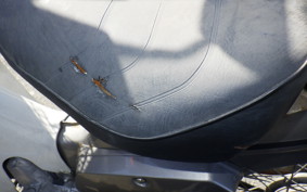 HONDA C50 SUPER CUB E 1990 AA01