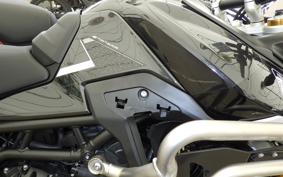 TRIUMPH TIGER 900 RALLY PRO 2025