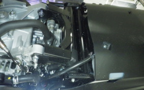 YAMAHA CYGNUS Griffus 1996 SEJ4J