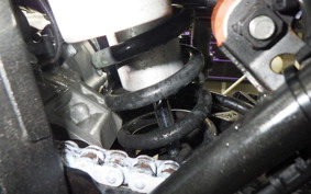 YAMAHA WR250X DG15J