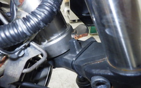 KAWASAKI Z250 SL BR250E