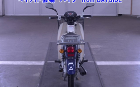 OTHER C110PU LOW 3