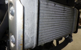 YAMAHA XSR155