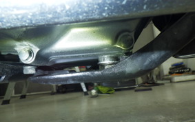 HONDA LITTLE CUB 2023 C50