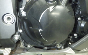 KAWASAKI NINJA 1000SX 2021 ZXT02K