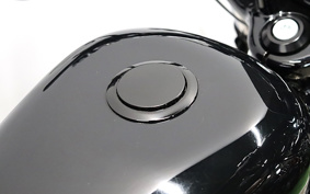 HARLEY XL1200X 2021 LC3