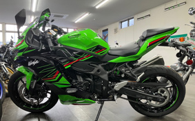 KAWASAKI ZX-4RR 2024