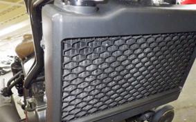 HONDA REBEL 250 S 2022 MC49
