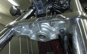 HONDA VT1300CX 2010 SC61
