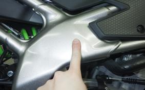 KAWASAKI ZX-4RR 2024 ZX400P