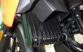 SUZUKI Vｽﾄﾛｰﾑ250SX 2012 EL11L