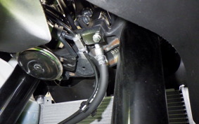 KAWASAKI ZX-4RR 2025 ZX400P