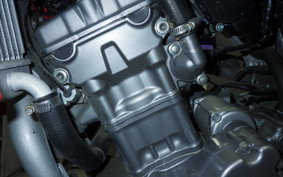 HONDA CRF250L 2010 MD38