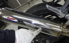 KAWASAKI NINJA 250R EX250K