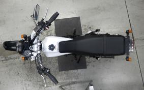 YAMAHA TW225 2010 DG09J