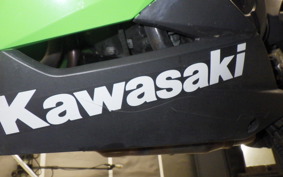 KAWASAKI NINJA 250 2022 EX250L