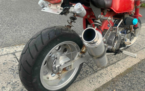 HONDA GORILLA Z50J