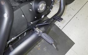HARLEY XL883N 2017