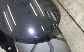 HARLEY FXLRS1920 2024