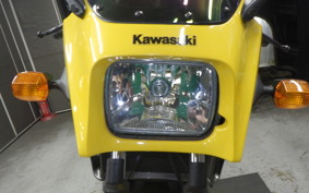 KAWASAKI GPZ900R NINJA 2000 ZX900A