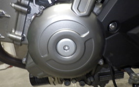 SUZUKI DL650 ( V-Strom 650 ) A 2024 C733M