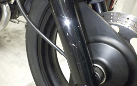 KAWASAKI ELIMINATOR 250 V 2021 VN250A