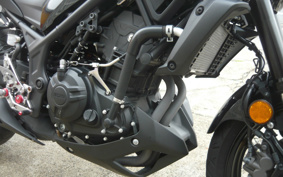 YAMAHA MT-25 ABS RG43J