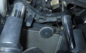 KAWASAKI NINJA 250 2024 EX250L