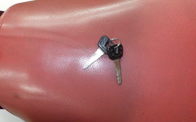 YAMAHA RZ250R 2016 29L