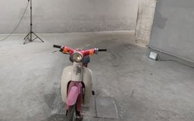 HONDA LITTLE CUB C50