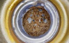 HONDA JAZZ 50 2025 AC09